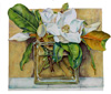 Magnolia grandiflora water color by Sally Robertson